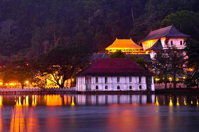 Kandy and Pinnawala Private Day Tour from Colombo/Negombo - Tea country: tea factory, plantations, and the included spice garden