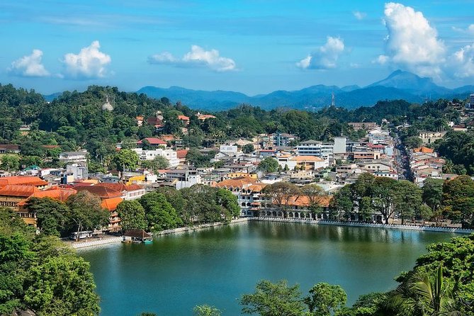 Kandy and Pinnawala Private Day Tour from Colombo/Negombo - Price and value: what $65 per person covers well