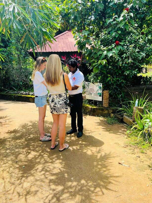 Kandy City Day Tour from Colombo, Negombo or Katunayake - Kandy Crafts Without the Hard Sell (Gem, Batik, Silk, and Wood)