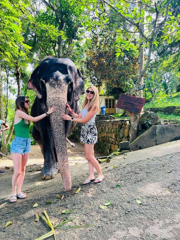 Kandy City Day Tour from Colombo, Negombo or Katunayake - Using the Guide’s Flexibility (and Choosing Smart Expectations)