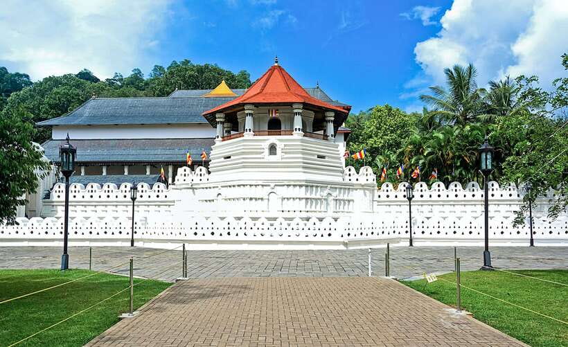 Kandy City Explore Full Day Tour , Like a Local - Peradeniya Botanical Garden: plants, pacing, and optional shopping time