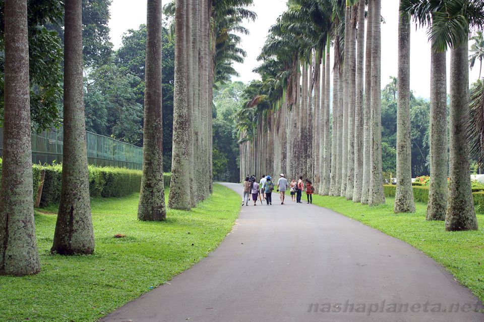 Kandy City Explore Full Day Tour , Like a Local - Wood carving family house and the gems museum: where craft meets impulse buying