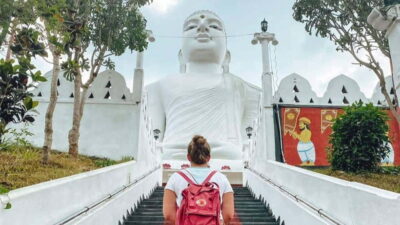 Kandy City Explore Tour Morning/Evenening Private Tour - The Temple of the Sacred Tooth Relic: what to notice beyond the crowds