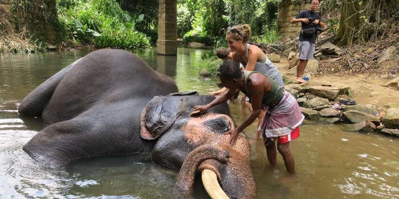 Kandy: City Highlights and Ramboda Waterfall Trip - Key highlights I’d circle first