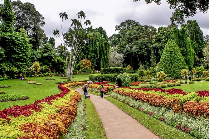 Kandy City Tour from Colombo - Sri Maha Bodhi Viharaya: a fast viewpoint with a giant Buddha focus