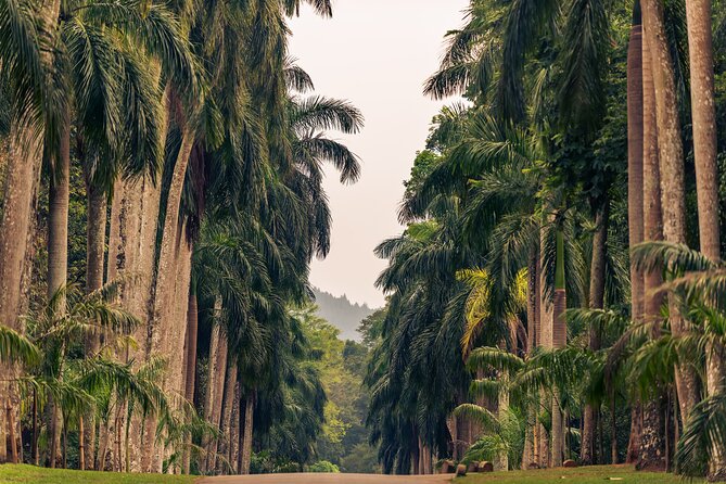 Kandy City Tour from Colombo - Kandy city center time: shopping, strolling, and using your lunch window