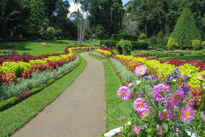 Kandy City Tour from Colombo - Temple of the Sacred Tooth Relic: gold roofs, carvings, and real spiritual weight