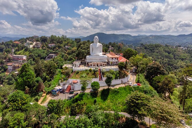 Kandy City Tour from Colombo - Peradeniya Royal Botanical Gardens: your morning eye-candy and plant education