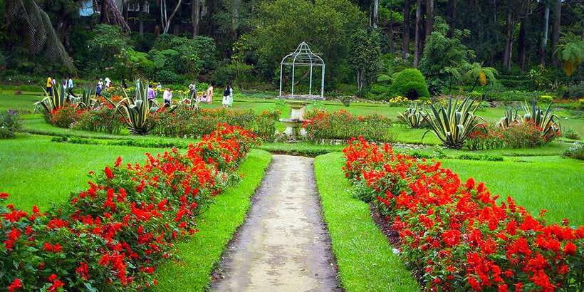 Kandy City Tour With Ambuluwawa Tower - Tea factory and the Herbal and Spices Ayurveda Center: what to expect