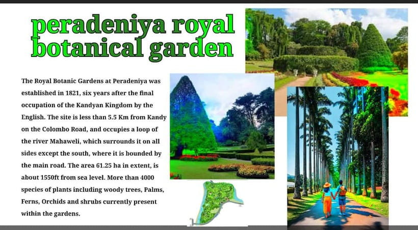 Kandy: City Tour with Temple of the Tooth & Tea Garden - Temple of the Tooth + Royal Palace: Sacred Space and Local Power