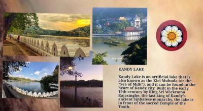 Kandy: City Tour with Temple of the Tooth & Tea Garden - British Botanical Garden and City Architecture: Royal, Portuguese, English