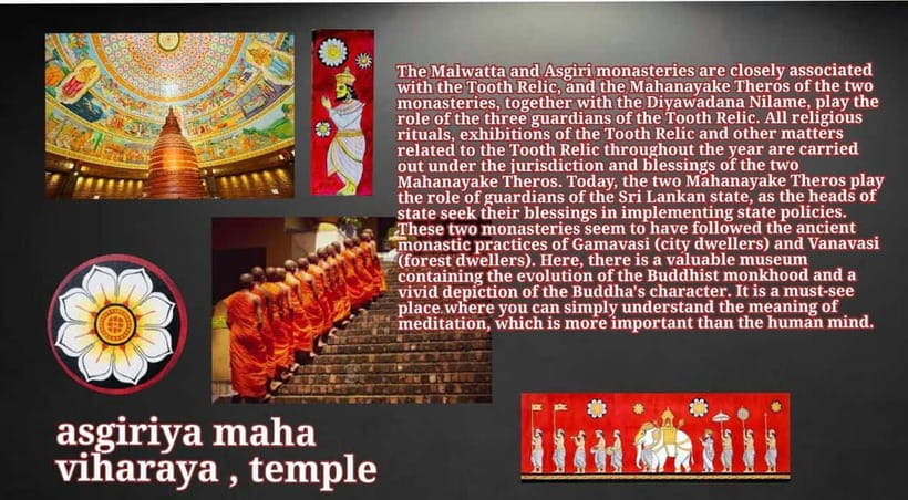Kandy: City Tour with Temple of the Tooth & Tea Garden - University Stop + UNESCO World Heritage Walk: Learning the City’s Everyday Face