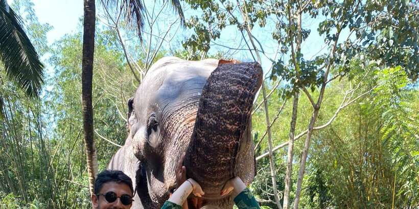 Kandy City Tours by Tuk Tuk - Gardens, wildlife vibes, and the White Buddha stop