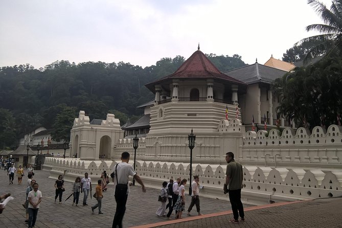 Kandy Day Tour From Colombo - Kadugannawa Tea Factory & Sales Center: Learn Tea Without Leaving Kandy