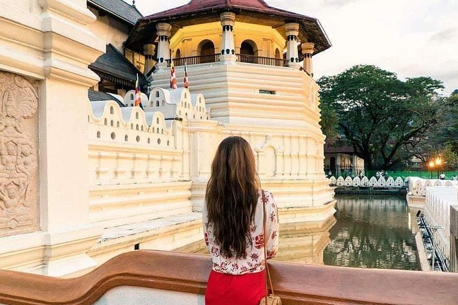 Kandy Day Tour From Colombo - Kandy View Point and Kandy Lake: short effort, strong payoff
