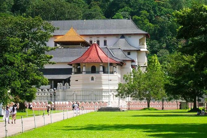 Kandy Day Tour From Colombo - Kandy city time: making the most of about four hours