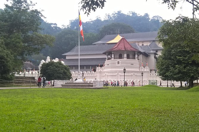 Kandy Day Tour From Colombo - Price and logistics: what you’re really paying for
