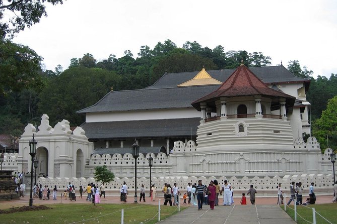 Kandy Day Trip with Tooth Relic Temple & Unique Attractions - Transportation and the comfort of a true package day