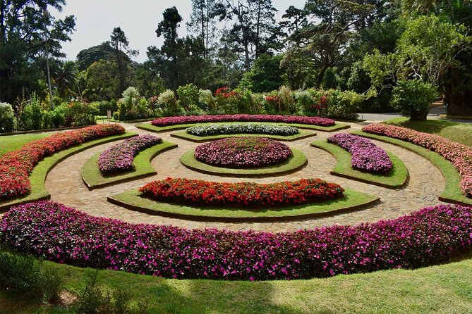 Kandy Day Trip with Tooth Relic Temple & Unique Attractions - Royal Botanical Gardens (Peradeniya): where time goes fast