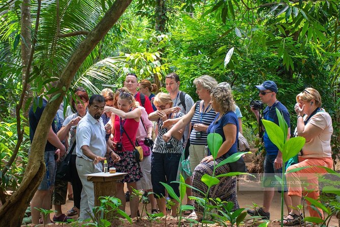 Kandy Day Trip with Tooth Relic Temple & Unique Attractions - Price and value: is $160 per person fair?