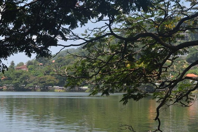 Kandy Full-Day Tour - Kandy Lake: your short pause between major sights