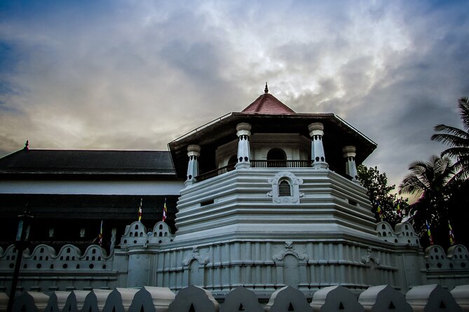 Kandy Full-Day Tour - Kadugannawa tea factory and tea estate: what you’re paying attention to