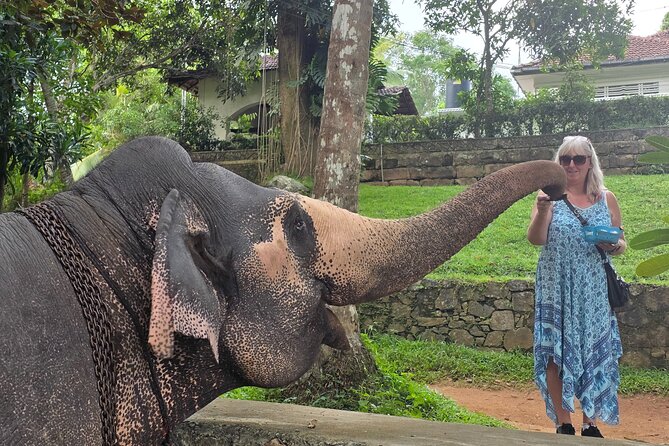Kandy Full Day Tour Private All Inclusive - Key highlights at a glance