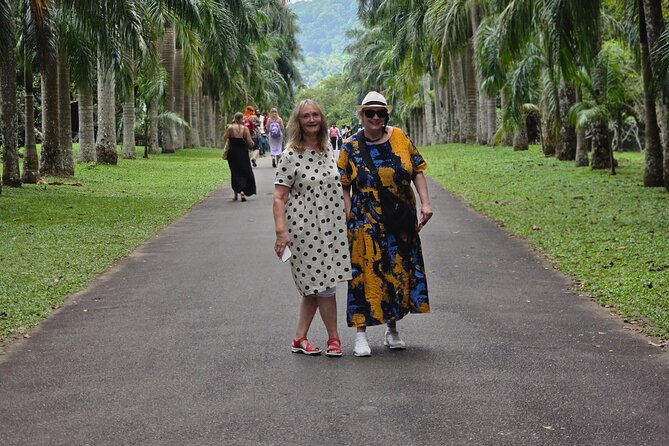 Kandy Full Day Tour Private All Inclusive - Ambepussa breakfast break before you head inland