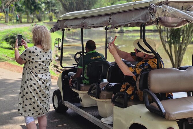 Kandy Full Day Tour Private All Inclusive - Millennium Elephant Foundation: conservation lessons in about 20 minutes