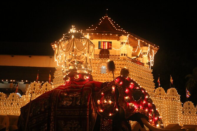 Kandy Full-Day Tour - Temple of the Sacred Tooth Relic: where the day’s energy turns real