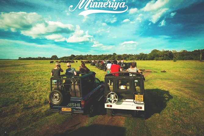 Kandy - Minneriya National park & Sigiriya Rock by tuk tuk tours - Sigiriya Area and Lunch: What You Gain (and What You Should Plan)