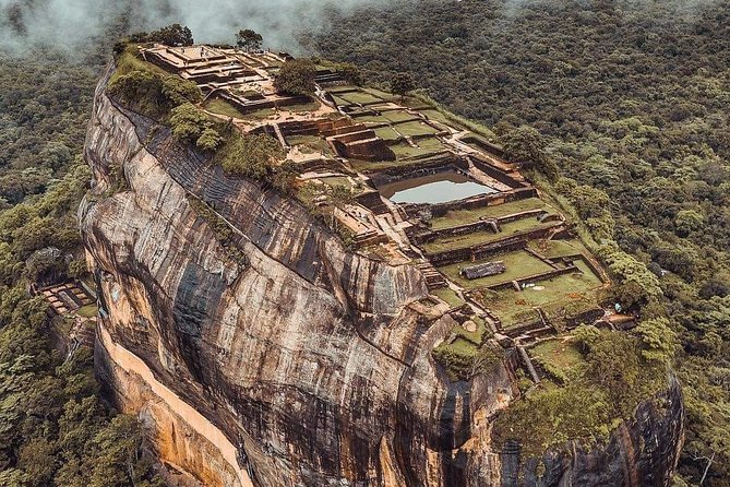 Kandy - Minneriya National park & Sigiriya Rock by tuk tuk tours - Minneriya Safari by Jeep: Elephants, Birds, and the Best “Big Day” Payoff