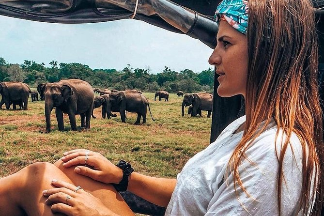 Kandy - Minneriya National park & Sigiriya Rock by tuk tuk tours - Guide and Company: What the Names Tell You About the Vibe