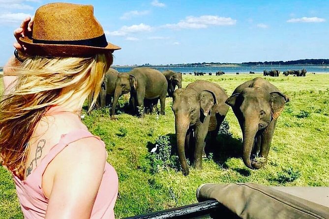 Kandy - Minneriya National park & Sigiriya Rock by tuk tuk tours - Transport, Wi‑Fi, and Private Setup: Small Comforts That Add Up