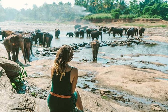 Kandy & Nuwara Eliya | 2 Days Tour - Your 2-day private route: Kandy, Pinnawala, and tea-country days