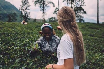 Kandy & Nuwara Eliya | 2 Days Tour - Price and logistics: is $170 per group good value?