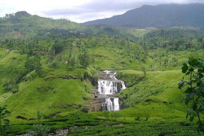 Kandy & Nuwara Eliya | 2 Days Tour - Pinnawala on this route: what to expect from the elephant portion