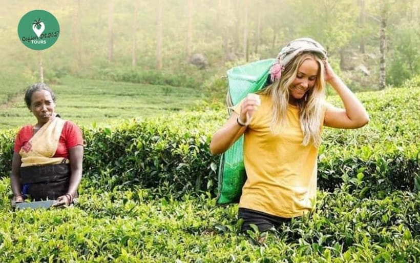 Kandy: Nuwara Eliya Day Explore by Tuk tuk with Local Guide - Key highlights worth waking up for
