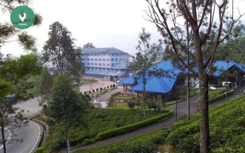 Kandy: Nuwara Eliya Day Explore by Tuk tuk with Local Guide - Ramboda Falls: Guided Trek + Photo Stops That Add Up