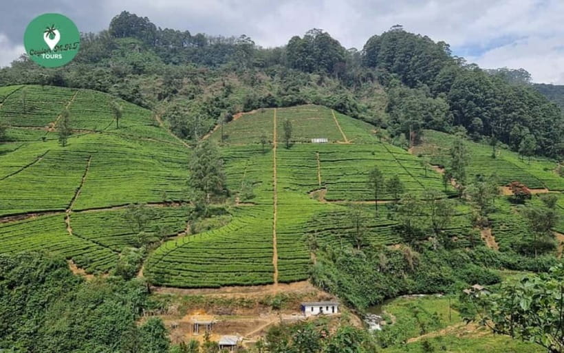 Kandy: Nuwara Eliya Day Explore by Tuk tuk with Local Guide - Lake Gregory and Victoria Park: Cool-Air Breaks in Town