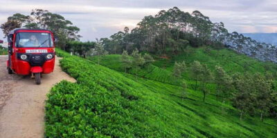 Kandy: Nuwara Eliya Day Trip - Kandy Start: Asgiriya Stupa and a Wood Carving Workshop