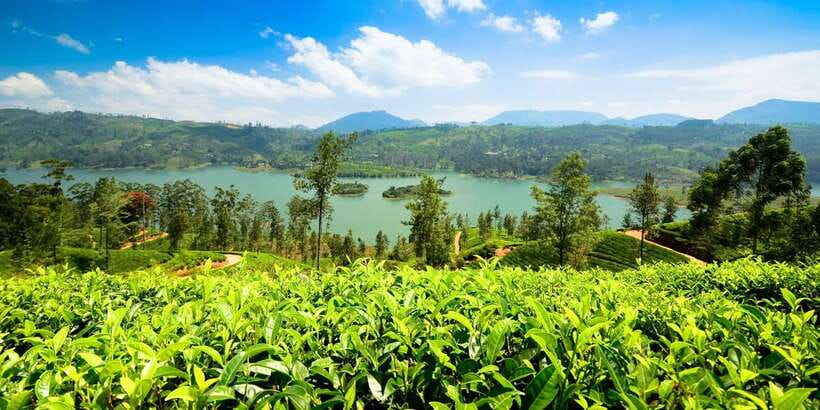 Kandy: Nuwara Eliya Day Trip - Hakgala Botanical Garden: Where the Extra Ticket Makes Sense