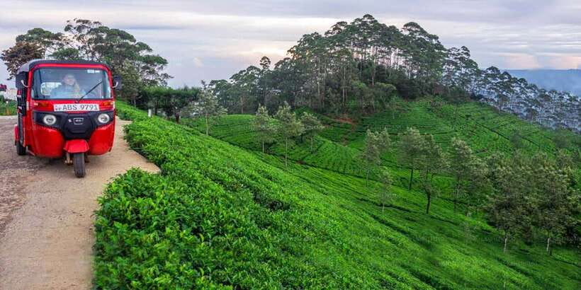 Kandy: Nuwara Eliya Day Trip - Kandy Start: Asgiriya Stupa and a Wood Carving Workshop