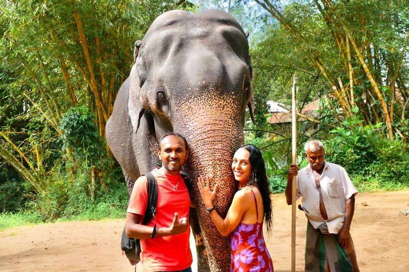 Kandy : Pinnawala Day Tour with Top Rated Local Guide - Kadugannawa Viewpoint and Giragama Tea Factory Stops