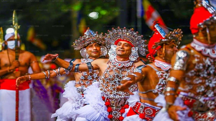 Kandy : Pinnawala Day Tour with Top Rated Local Guide - Transport Comfort, Timing, and What to Bring