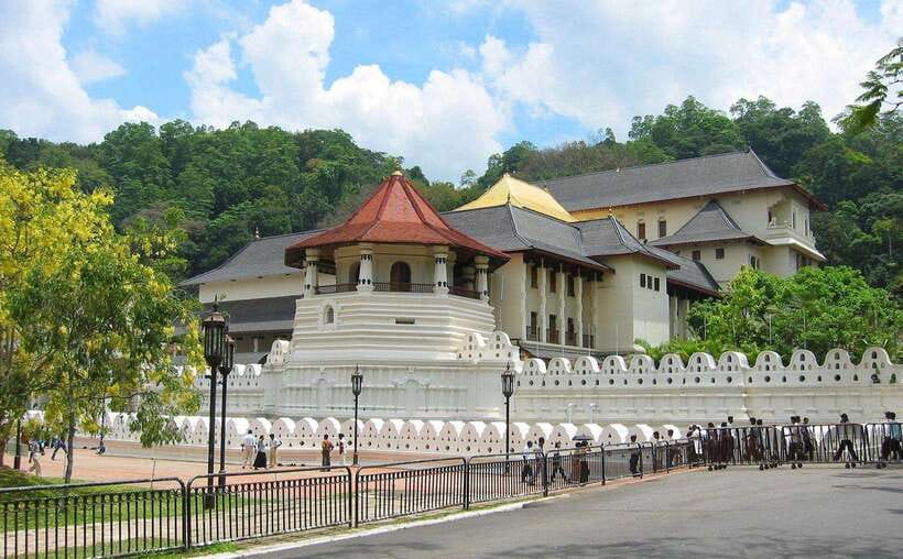 Kandy : Pinnawala Day Tour with Top Rated Local Guide - Who Should Book This Day Tour From Kandy