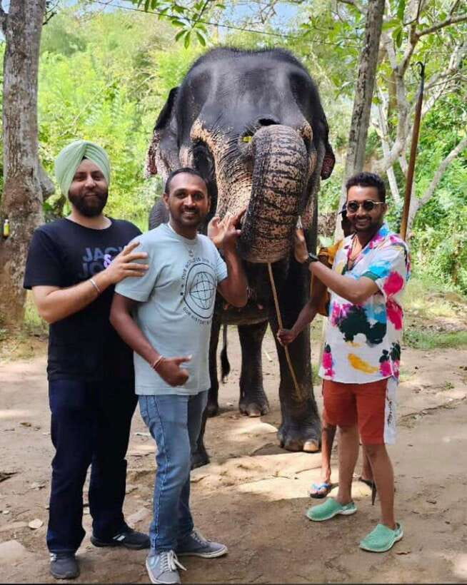 Kandy : Pinnawala Day Tour with Top Rated Local Guide - Pinnawala Elephant Orphanage: Sanctuary, River Views, and Real Feelings