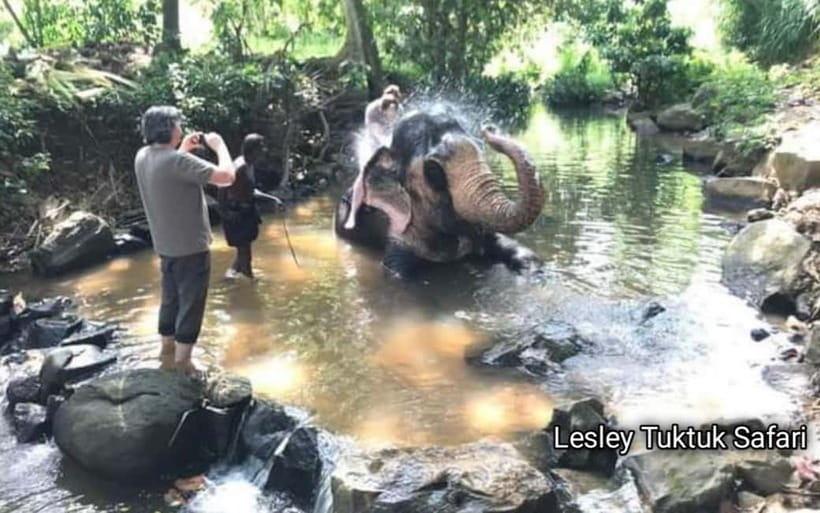 Kandy : Pinnawala Elephant Safari Private Guid Tuk Tuk Tour - Key highlights worth the day-trip effort