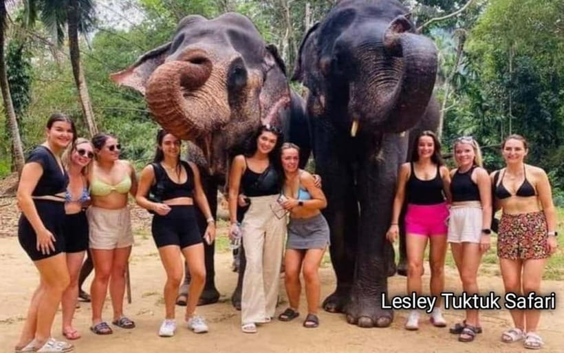 Kandy : Pinnawala Elephant Safari Private Guid Tuk Tuk Tour - Why this Kandy-to-Pinnawala day trip feels like two big tours