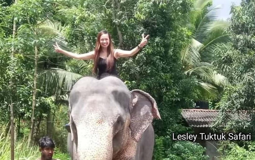 Kandy : Pinnawala Elephant Safari Private Guid Tuk Tuk Tour - Kandy viewpoints and the river-of-temple schedule